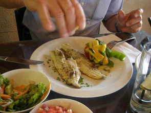 味覺(jué)西亞 品嘗以色列特色美食