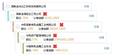 海南金光化工科技咨詢服務公司 信息技術咨詢服務的專業賦能者